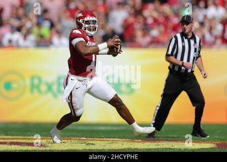 1. Januar 2022: Arkansas Razorbacks Quarterback KJ JEFFERSON (1) kämpft während des Outback Bowl im Raymond James Stadium in Tampa, FL, am 1. Januar 2022. (Bild: © Cory Knowlton/ZUMA Press Wire) Stockfoto