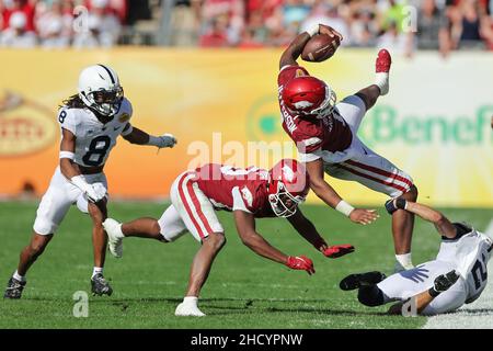 1. Januar 2022: Arkansas Razorbacks Quarterback KJ JEFFERSON (1) startet in die Luft, nachdem er am 1. Januar 2022 beim Outback Bowl im Raymond James Stadium in Tampa, FL, getroffen wurde. (Bild: © Cory Knowlton/ZUMA Press Wire) Stockfoto