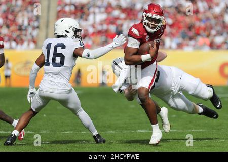 1. Januar 2022: Arkansas Razorbacks Quarterback KJ JEFFERSON (1) spielt den Ball während des Outback Bowl im Raymond James Stadium in Tampa, FL am 1. Januar 2022. (Bild: © Cory Knowlton/ZUMA Press Wire) Stockfoto