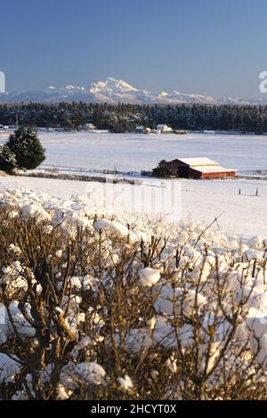 Blick über schneebedeckte Prärie, rote Scheune und Ackerland, Ebey's Prairie Ridge Trail, Ebey's Landing National Historic Reserve, Whidbey Island, Island Co Stockfoto