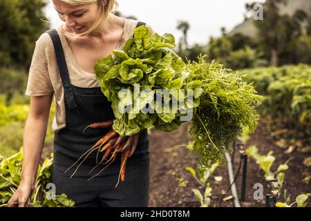 Lächelnder Bio-Bauer, der frisch gepflücktes Gemüse auf einem landwirtschaftlichen Feld hält. Selbstnachhaltige junge Frau, die frische grüne Produkte in ihrem Gr Stockfoto