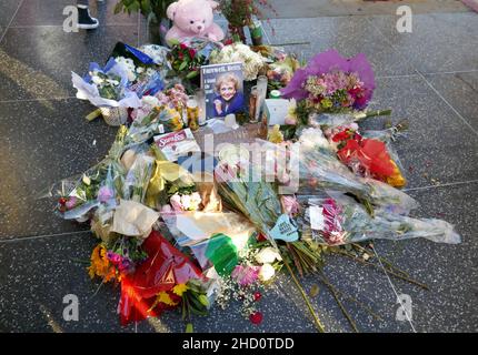 Los Angeles, California, USA 1st. Januar 2022 die Schauspielerin Betty White's Hollywood Walk of Fame Star Memorial, nachdem sie am 31. Dezember 2021 in Los Angeles, Kalifornien, USA, verstorben war. Foto von Barry King/Alamy Live News Stockfoto