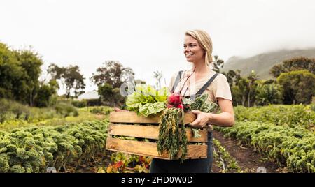 Junge Bäuerin mit einer Schachtel mit frischem Gemüse. Glückliche Bio-Bäuerin lächelt fröhlich, nachdem sie frische Produkte aus ihrem Garten geerntet hat Stockfoto