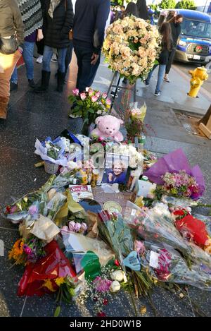 Los Angeles, California, USA 1st. Januar 2022 die Schauspielerin Betty White's Hollywood Walk of Fame Star Memorial, nachdem sie am 31. Dezember 2021 in Los Angeles, Kalifornien, USA, verstorben war. Foto von Barry King/Alamy Live News Stockfoto