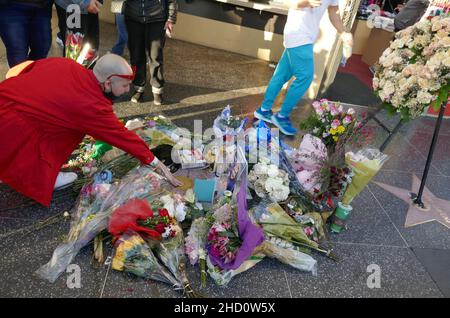 Los Angeles, California, USA 1st. Januar 2022 die Schauspielerin Betty White's Hollywood Walk of Fame Star Memorial, nachdem sie am 31. Dezember 2021 in Los Angeles, Kalifornien, USA, verstorben war. Foto von Barry King/Alamy Live News Stockfoto