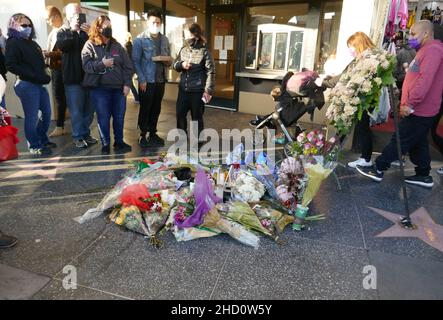 Los Angeles, California, USA 1st. Januar 2022 die Schauspielerin Betty White's Hollywood Walk of Fame Star Memorial, nachdem sie am 31. Dezember 2021 in Los Angeles, Kalifornien, USA, verstorben war. Foto von Barry King/Alamy Live News Stockfoto