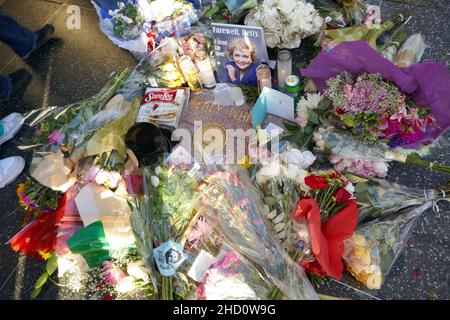 Los Angeles, California, USA 1st. Januar 2022 die Schauspielerin Betty White's Hollywood Walk of Fame Star Memorial, nachdem sie am 31. Dezember 2021 in Los Angeles, Kalifornien, USA, verstorben war. Foto von Barry King/Alamy Live News Stockfoto