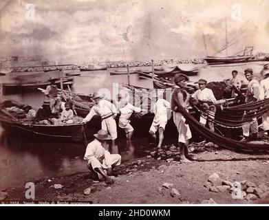 Rive, Roberto (18..-1889) - n. 2928 - Napoli, Studio di Barche. Stockfoto