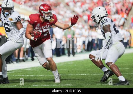 Tampa, Florida, USA. 1st Januar 2022. Arkansas Razorbacks Tight End BLAKE Kern (87) spielt während des Outback Bowl im Raymond James Stadium. (Bild: © Cory Knowlton/ZUMA Press Wire) Stockfoto