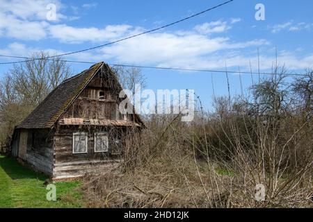 Ein kleines altes, nicht mehr bewohntes Holzhaus auf einer grünen Wiese mit einer Reihe wilder Büsche. Stockfoto