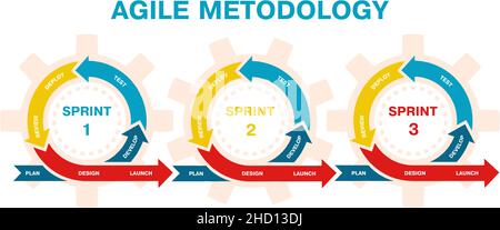 Agiles Projektmanagement, Infografik zur Entwicklungsmethodik. Agile Software-Entwicklung Lifecycle-Prozess Sprints Vektordarstellung. Agil Stock Vektor