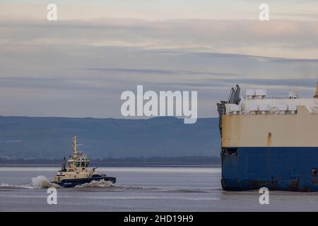 RoRo Morning Capo geht in die Portbury Docks Stockfoto