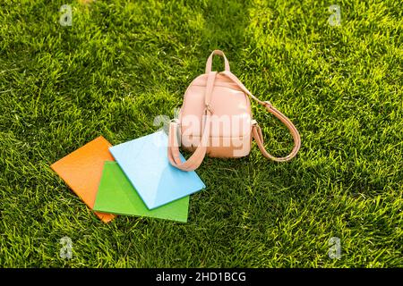 Rucksack und Bücher liegen auf dem Gras. Stockfoto