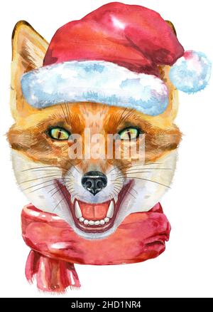 Fuchs-Porträt in Weihnachtsmütze und rotem Schal. Aquarell orange Fuchs Malerei Illustration. Wunderschöne Tierwelt Stockfoto