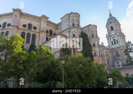 Malaga Spanien - 09 15 2021: Blick auf die Seitenfassade der Kathedrale von Málaga oder der Kathedrale Santa Iglesia Basílica de la Encarnación, einem ikonischen Nationalant Stockfoto