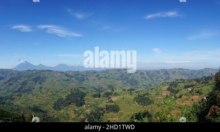 Blick auf die Virunga Mountain Range in der Nähe des Bwindi Impenetrable Forest, Uganda Stockfoto