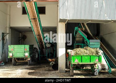 Beniarda, Alicante, Spanien- 26. November 2021:Maschinen für die Olivenverarbeitung in einem landwirtschaftlichen Lager in Spanien Stockfoto