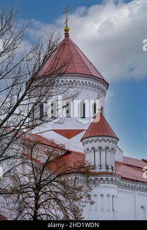 VILNIUS, LITAUEN - 2020. MÄRZ 06.eines der ältesten christlichen Heiligtümer der Stadt - die Kathedrale der Gottesmutter. Stockfoto