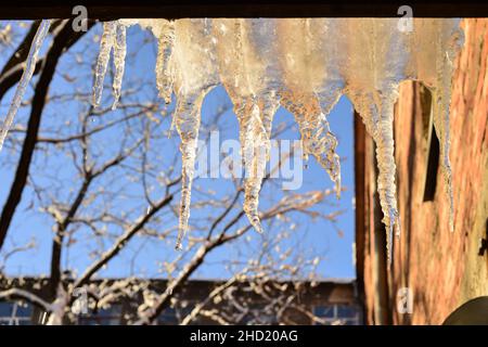 Schmelzende Eiszapfen hängen vom Dach mit blauem Himmel Hintergrund. Sonniger Tag. Warmer Wintertag. Stockfoto