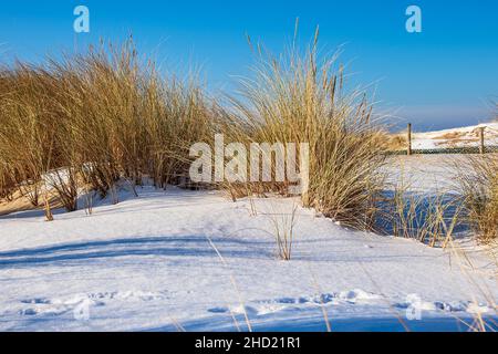 Düne an der Ostsee im Winter in Warnemünde, Deutschland. Stockfoto