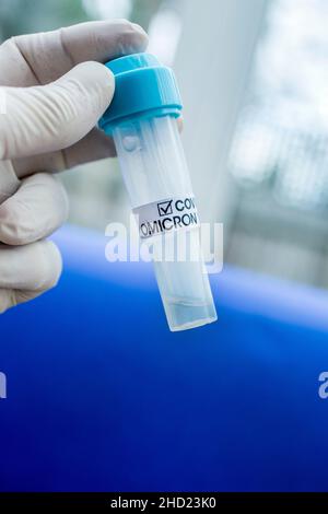 Medizinisches Fachpersonal, das COVID-19 Abstrichbesteck hält, Handschuhe trägt, Reagenzglas für die Einnahme von Omicron Stockfoto