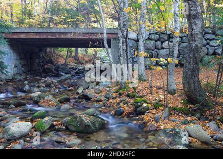 Alte Brücke, die den Lafayette Brook überquert, entlang des Notchway Trail in Franken, New Hampshire. Der Notchway Trail ist der Hauptweg der Lafayette Stockfoto