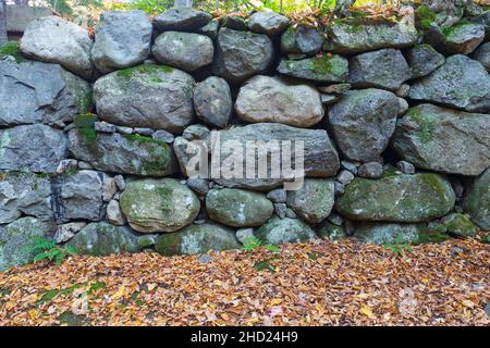 Alte Brücke, die den Lafayette Brook überquert, entlang des Notchway Trail in Franken, New Hampshire. Der Notchway Trail ist der Hauptweg der Lafayette Stockfoto