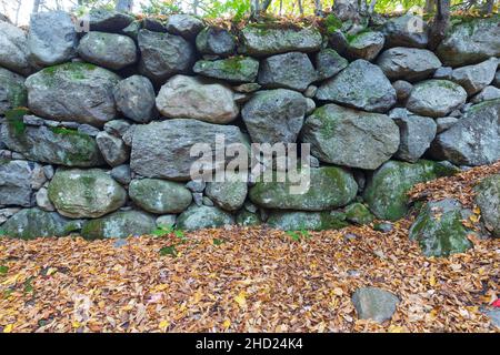 Alte Brücke, die den Lafayette Brook überquert, entlang des Notchway Trail in Franken, New Hampshire. Der Notchway Trail ist der Hauptweg der Lafayette Stockfoto