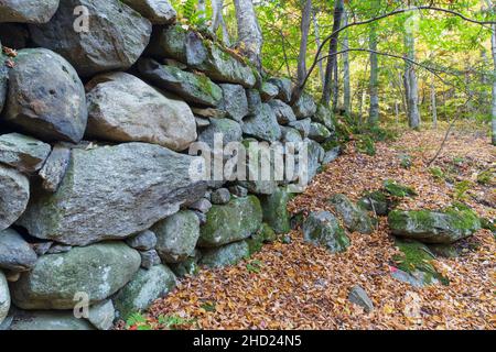 Alte Brücke, die den Lafayette Brook überquert, entlang des Notchway Trail in Franken, New Hampshire. Der Notchway Trail ist der Hauptweg der Lafayette Stockfoto