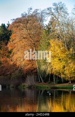 Großbritannien, England, Oxfordshire, Banbury, Wroxton Abbey, Herbstliche Bäume über dem See Stockfoto