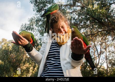 In einem Wald sitzen grüne Papageien auf den Händen und dem Kopf einer Frau Stockfoto