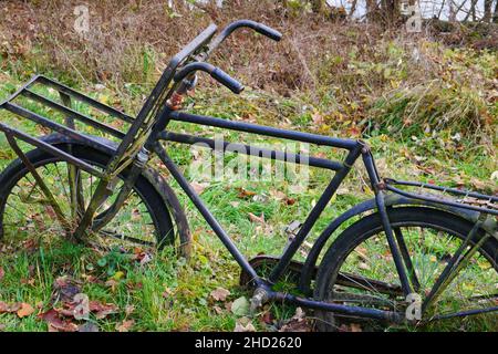 Altes rostes Lastenrad ohne Fahrradsattel steht auf einer Herbstwiese eingegraben Stockfoto