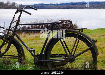 Im Herbst steht am grasbewachsenen Ufer eines Sees ein altes, rostig historisches Lastenrad ohne Sattel Stockfoto