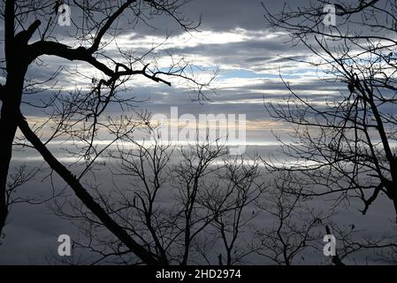 Die Sonne hebt ein Wolkenmeer aus dem Talnebel am Big Pinnacle Overlook im Pilot Mountain State Park hervor Stockfoto