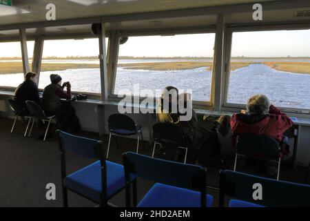 Winter Schwäne und Enten im Welney Washes Nature Reserve, Welney Village, Cambridgeshire, England, Großbritannien Stockfoto