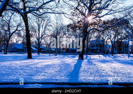 An einem kalten verschneiten Morgen scheint in einem Vorstadtpark die Sonne durch die Bäume. Stockfoto