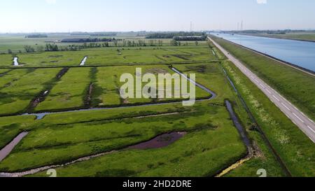 Luftaufnahme auf grünen Poldern, Wiesen und Wassertransportkanal in Süd-Beveland, Zeeland, Niederlande im Sommer Stockfoto