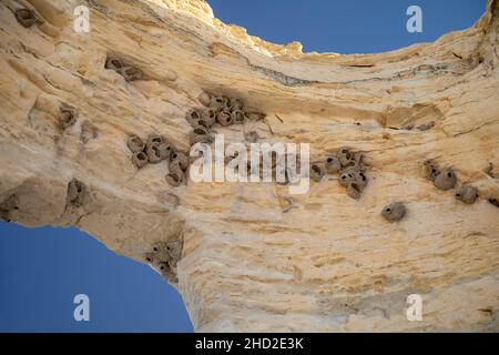 Oakley, Kansas - die Nester von Klippenschwalben auf den Monument Rocks, auch bekannt als Chalk Pyramids. Monument Rocks ist eine Niobrara-Kreide-Formation Stockfoto