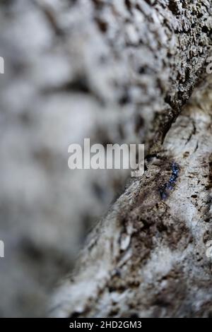 Natur aus besten Winkeln Stockfoto