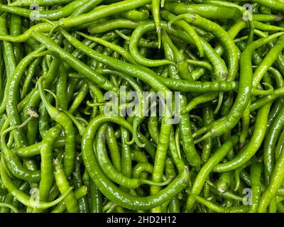 Viele grüne Chilischoten auf dem lokalen Bauernmarkt. Bio-Lebensmittel Stockfoto