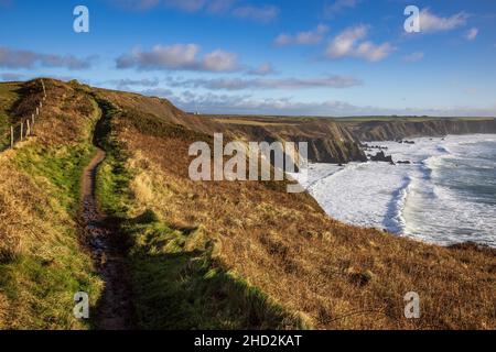 Der Pembrokeshire Coast Path im Winter über Marloes Sands, South Wales Stockfoto