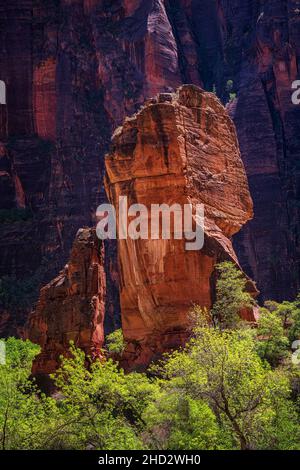 Felsformationen, die als Altar und Pulpit im Zion National Park bekannt sind Stockfoto