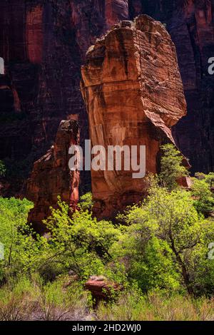 Felsformationen, die als Altar und Pulpit im Zion National Park bekannt sind Stockfoto