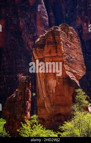 Felsformationen, die als Altar und Pulpit im Zion National Park bekannt sind Stockfoto