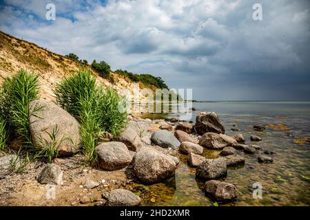 Steilküste Bei Nordperd Bei Göhren Auf Rügen, Mecklenburg-Vorpommern, Deutschland, Europa Stockfoto