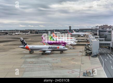 tokio, japan - dezember 06 2021: Boeing- und airbus-Flugzeuge japanischer Billigfluggesellschaften oder Billigfluggesellschaften, die auf dem Vorfeld oder Asphalt der Na abgestellt werden Stockfoto