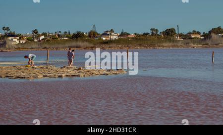 Laguna Salada Rosa de Torrevieja Alicante Provinz, Spanien, Europa Stockfoto