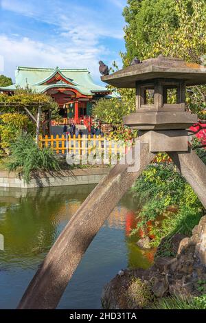 tokio, japan - 26 2019. oktober: Tauben auf der riesigen Yukimi-Steinlaterne und Schildkröte unten vor dem Teich des Kameido Tenjin Shintoi-Schreins dedic Stockfoto