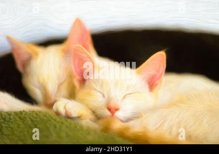 Zwei Niedliche Kätzchen Kuscheln Sich Und Schlafen Zusammen Stockfoto