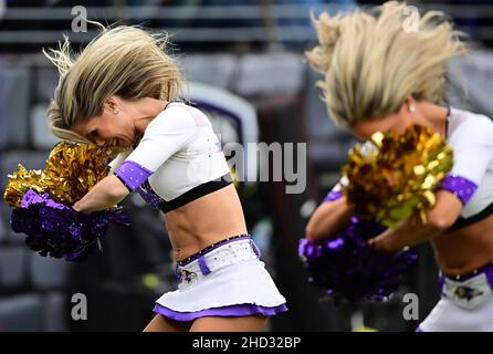 Baltimore, Usa. 02nd Januar 2022. Cheerleader der Baltimore Ravens treten am Sonntag, den 2. Januar 2022, in der zweiten Hälfte im M&T Bank Stadium in Baltimore, Maryland, gegen die Los Angeles Rams auf. Die Los Angeles Rams besiegten die Baltimore Ravens 20-19. Foto von David Tulis/UPI Credit: UPI/Alamy Live News Stockfoto